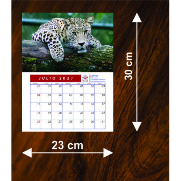 Calendario Chico (23 cm x 30 cm)