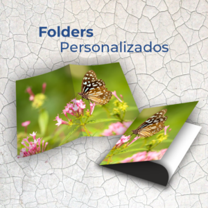 Folder 1