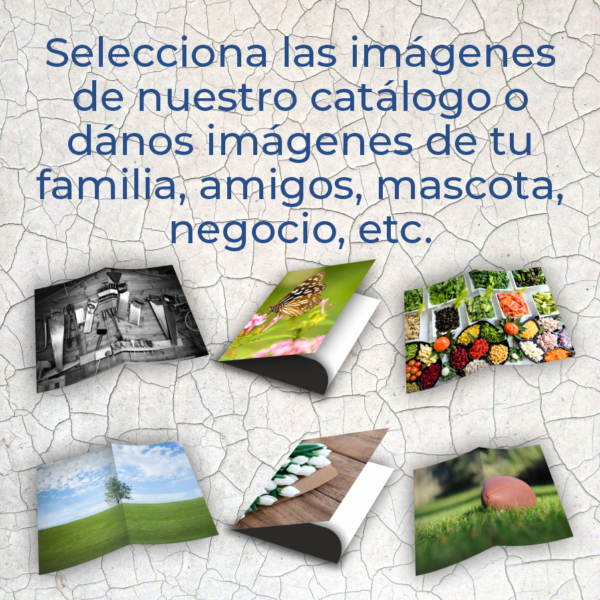 Folder