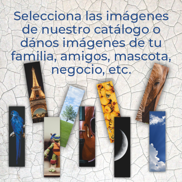 Separadores 10 Piezas (pueden ser diferentes)
