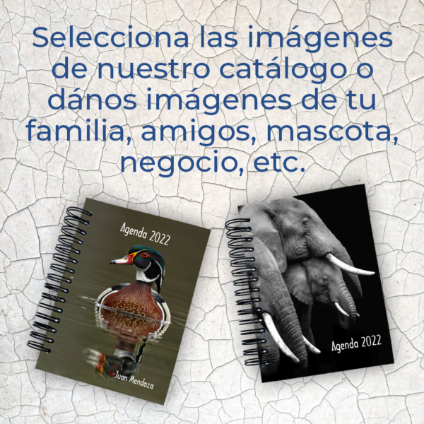 Agenda Semanal