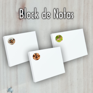Block N 1