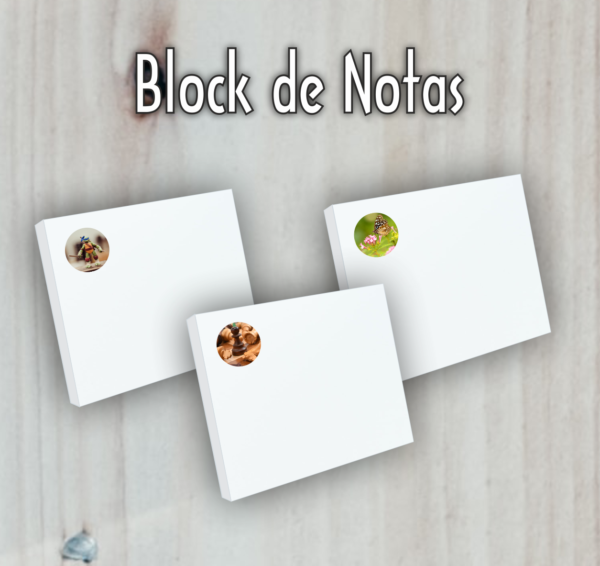 3 Blocks de Notas
